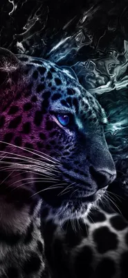 Двойные #Обои #Леопард #Морда #Хищник | Cheetah wallpaper, Big cats art,  Spirit animal art