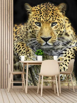 АРТ ФОТООБОИ / Фотообои 200 х 270 см \"Леопард\"/ Обои на стену, в гостиную,  спальню, для кухни, в зал - купить по выгодной цене в интернет-магазине  OZON (357591164)