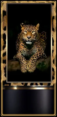Заставки на Телефон | Animal print background, Cool wallpapers art, Leopard  print wallpaper