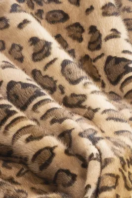 изображение леопарда на темном фоне, картинка леопарда фон картинки и Фото  для бесплатной загрузки