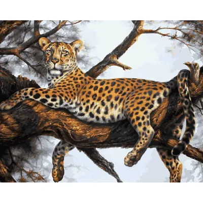 леопард на черном фоне стоковое фото. изображение насчитывающей ягуар -  157076468
