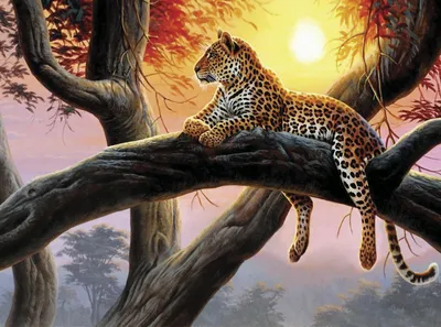 Amur Leopard avatar by snappyhappy on DeviantArt