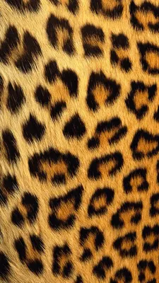 Лучшие идеи (19) доски «Леопардовые обои» | леопардовые обои, обои фоны,  милые обои