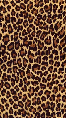Пин от пользователя Rylee Clifton на доске iPhone Wallpaper | Леопардовые  обои, Леопардовый фон, Принты
