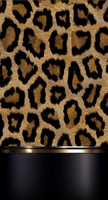 Леопардовый фон - 56 фото