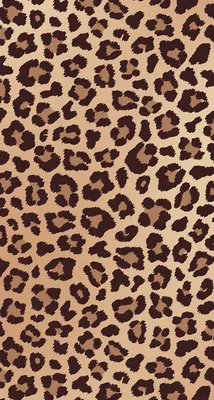 Леопардовые заставки на телефон (45 фото)