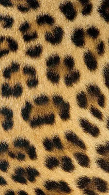 Pin by 🌹Rev🌹 on wallpapers iPhone ,Samsung galaxy | Cheetah print  wallpaper, Animal print background, Animal print wallpaper