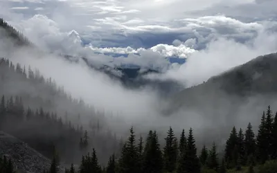 Картинки небо, тучи, горы, лес, туман - обои 2560x1600, картинка №417147