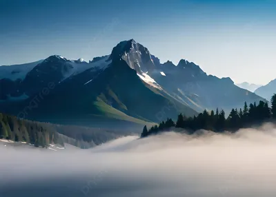 туман в высоких горах красивая природа фон обои, горы, лес, туман фон  картинки и Фото для бесплатной загрузки
