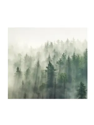 АРТ ФОТООБОИ Фотообои на стену 3d флизелиновые лес туман фото обои  виниловые в спальню кухню гостиную 300х270 см