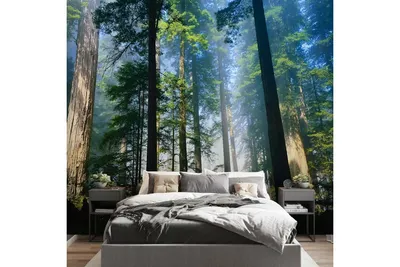 Обои Природа Горы Лес Туман дизайн детской спальни кухни зал Топ Фотообои  46591193 купить за 1 652 600 сум в интернет-магазине Wildberries