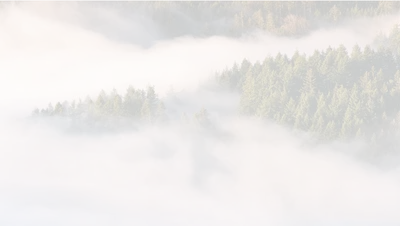 Скачать обои лес, туман, озеро, утро, раздел природа в разрешении 2048x1365