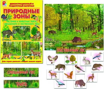 Купить Животные леса № 49 в Минске в Беларуси в интернет-магазине OKi.by с  бесплатной доставкой или самовывозом