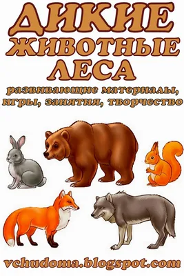 Набор Весна Животные леса В885 купить по цене 399 ₽ в интернет-магазине  Детский мир
