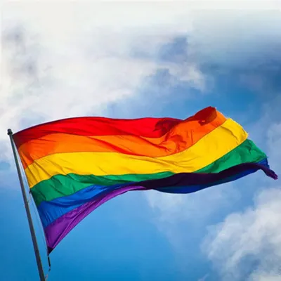 PTEROSAUR, Радужный Флаг для лесбиянок, ЛГБТ, лесбиянок, закат, Радужный  Флаг, 12,5x18 дюймов, двухсторонний мешковины для наружного декора |  AliExpress