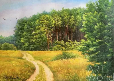 Картина Летний пейзаж маслом \"Дорога вдоль опушки леса\" 50x70 AR170905  купить в Москве