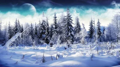 Зимний Лесной пейзаж (32 фото) - 32 фото