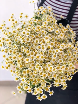 Цветы Lilium|Купить Букет \" Летний дождь \" в Щёлково с доставкой