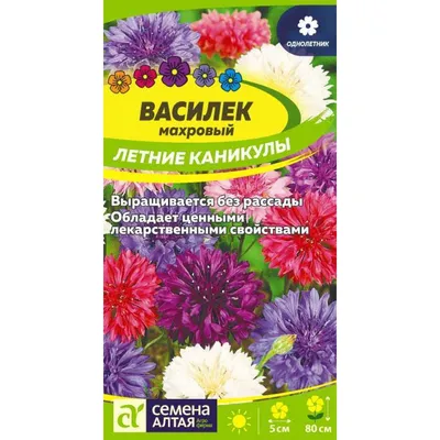 Летние сапоги \"Катрин\" в интернет-магазине Ярмарка Мастеров по цене 7550 ₽  – LYDQYRU | Сапоги, Рязань - доставка по России