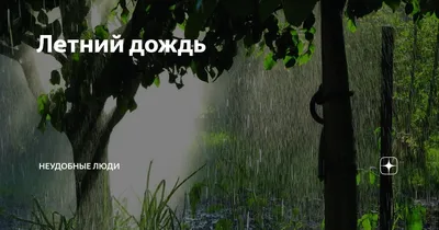 Летний дождь... (Михаил Файнбух) / Стихи.ру