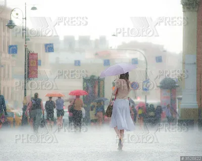 Летний дождь и овощи Stock Photo | Adobe Stock