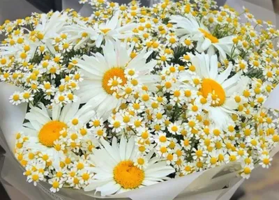 Сочный букет в тёплых, летних тонах - Доставка свежих цветов в Красноярске