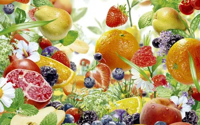 Набор фруктов лето весело иллюстрация штока. иллюстрации насчитывающей  сочно - 208030511