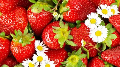 Диетолог назвал самые полезные летние фрукты, ягоды и овощи | Саратов 24