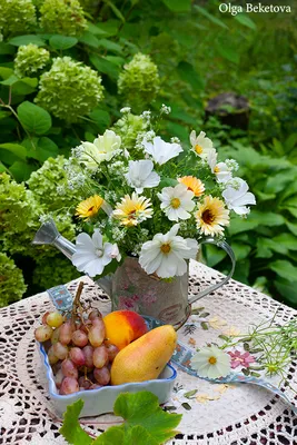 Лето: какие фрукты, овощи и зелень можно собрать на острове Франции? -  Sortiraparis.com