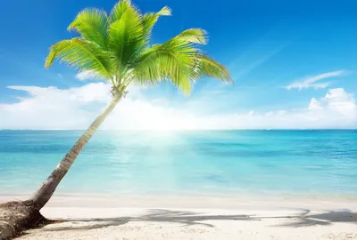 Лето, солнце, море, пляж – лучше фотозоны в Дубае не найдешь! - 📸 Фотограф  в Дубае Галина Плевако ⚡