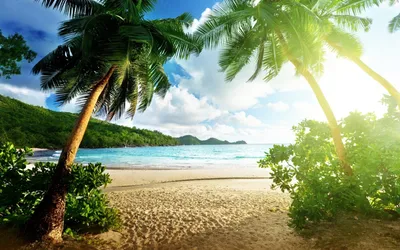 Лето, солнце, море, пляж - YouTube