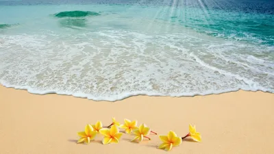 Пазл «Лето, море, пляж» из 170 элементов | Собрать онлайн пазл №241217