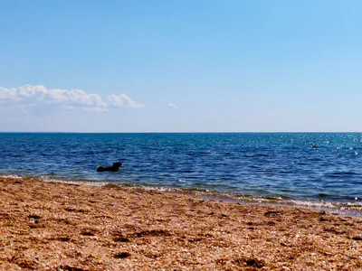 Египет! Рождественское лето! Море, солнце, пляж — лучший подарок в Новом  Году!!! Вылет 05.01.2020! | МR Travel