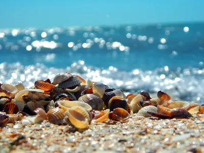 Море Лето Прибой - Бесплатное фото на Pixabay - Pixabay