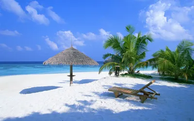 лето море пляж отдых отдых отдых молодые бикини девушка в шляпе загорать  назад вид Иллюстрация вектора - иллюстрации насчитывающей стул, коктеил:  221370625