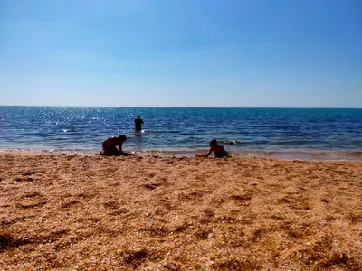 Лето, море, пляж | Пикабу