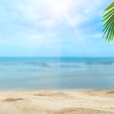 Whirl Управляй дыханием - Лето, солнце, море, пляж - это мечта! 😍 Легкий  ветерок развевает волосы, ты - загорелая красотка лежишь на пляже среди  таких же счастливых людей… Чего не хватает для