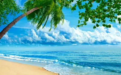 3D Фото обои лето море 368 x 254 см пляж (13034P8)+клей: цена 1200 грн -  купить Обои на ИЗИ | Киев