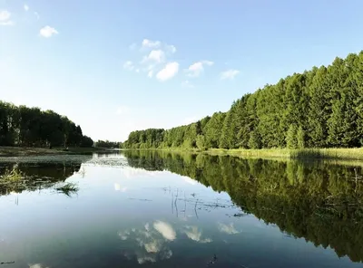 Лето - это маленькая жизнь