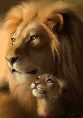 Все о любовных отношениях льва и львицы | КАА | Дзен