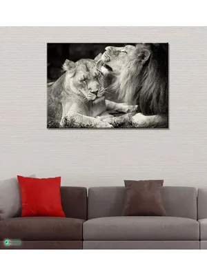Обои лев, львица, любовь, пара, коричневый картинки на рабочий стол, фото -  Животные - ТОП лучших обоев для рабочего стола