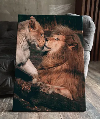 Картина на холсте (львица, лев львица и львенок семья, лев львица, лев  львица и львенок животные) 80x100 интерьерная картина /в комнату/на стену/,  в спальню - купить по низкой цене в интернет-магазине OZON (