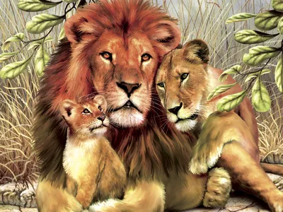 лев и львица стоковое фото. изображение насчитывающей национально -  156045734