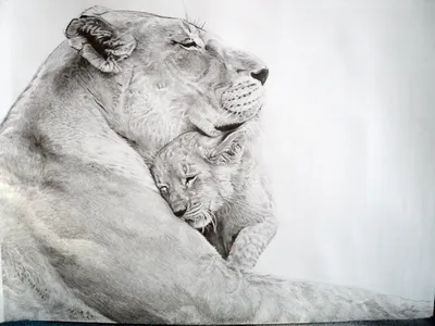 Animal World: Лев и львица: заказать по доступной цене в Алматы, Астане,  Казахстане | Интернет-магазин Meloman