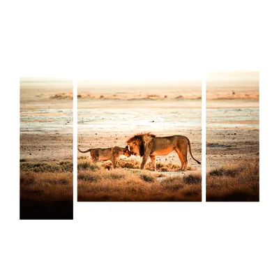 Красивый лев,львица и их львенок …» — создано в Шедевруме
