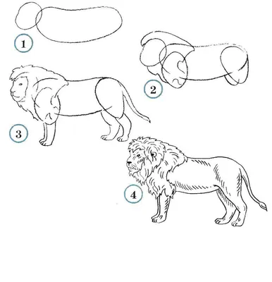 Как нарисовать льва для детей (55 фото) » Идеи поделок и аппликаций своими  руками - Папикпро.КОМ