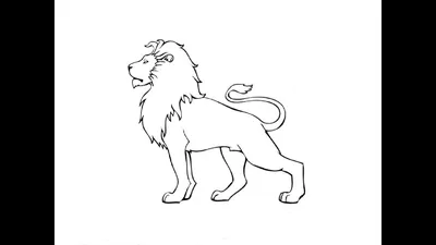 How to Draw a Lion / Как нарисовать Льва - YouTube