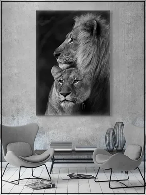 Рисунок белого льва, лев, млекопитающее, животные, кошка Like Mammal png |  PNGWing