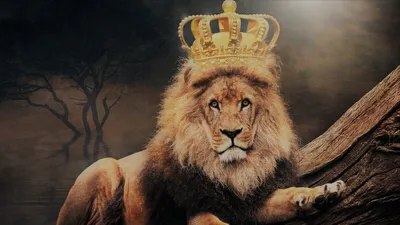 Лев — царь зверей» — создано в Шедевруме