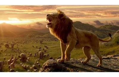 лев - царь зверей с золотой короной на голове. Иллюстрация штока -  иллюстрации насчитывающей изображение, кот: 274747236